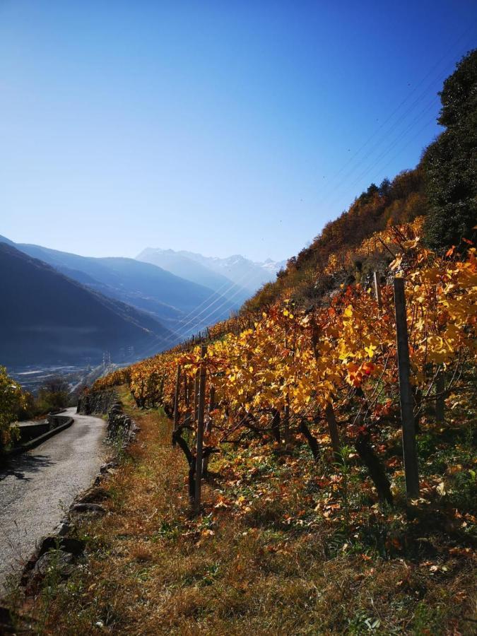 Casa Vacanze - Residenza Elvezia Tirano Exteriér fotografie
